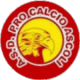 Pro Calcio